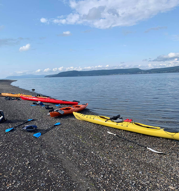 Kayak Rentals in Newfoundland